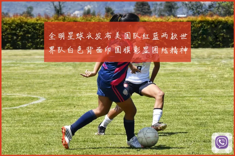 全明星球衣发布美国队红蓝两款世界队白色背面印国旗彰显团结精神