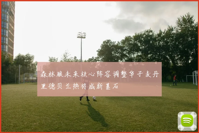 森林狼未来核心阵容调整华子麦丹里德贝兰热将成新基石