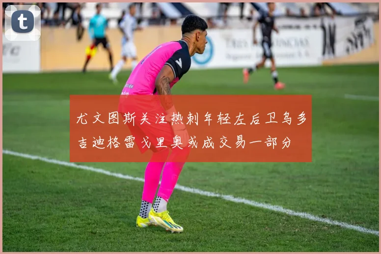 尤文图斯关注热刺年轻左后卫乌多吉迪格雷戈里奥或成交易一部分